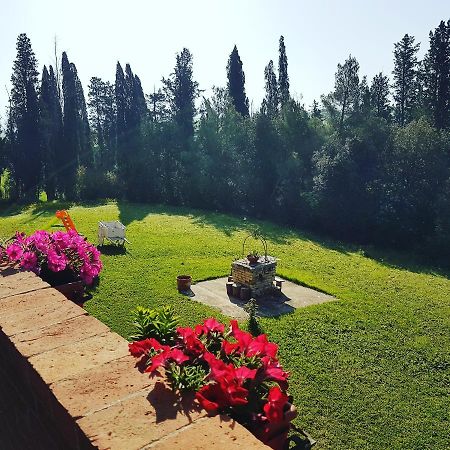 Villa Niccoli Castelfiorentino Dış mekan fotoğraf