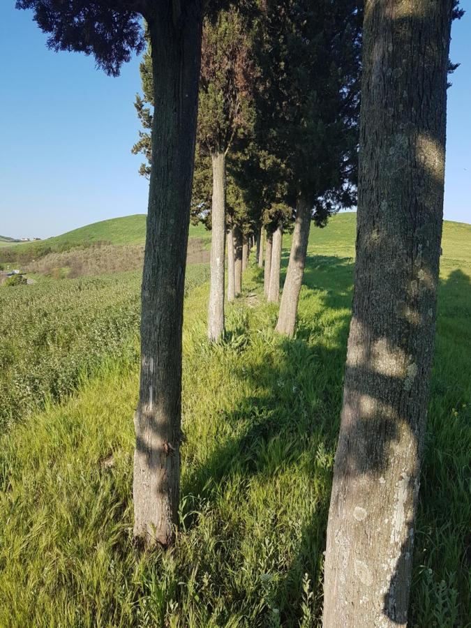 Villa Niccoli Castelfiorentino Dış mekan fotoğraf