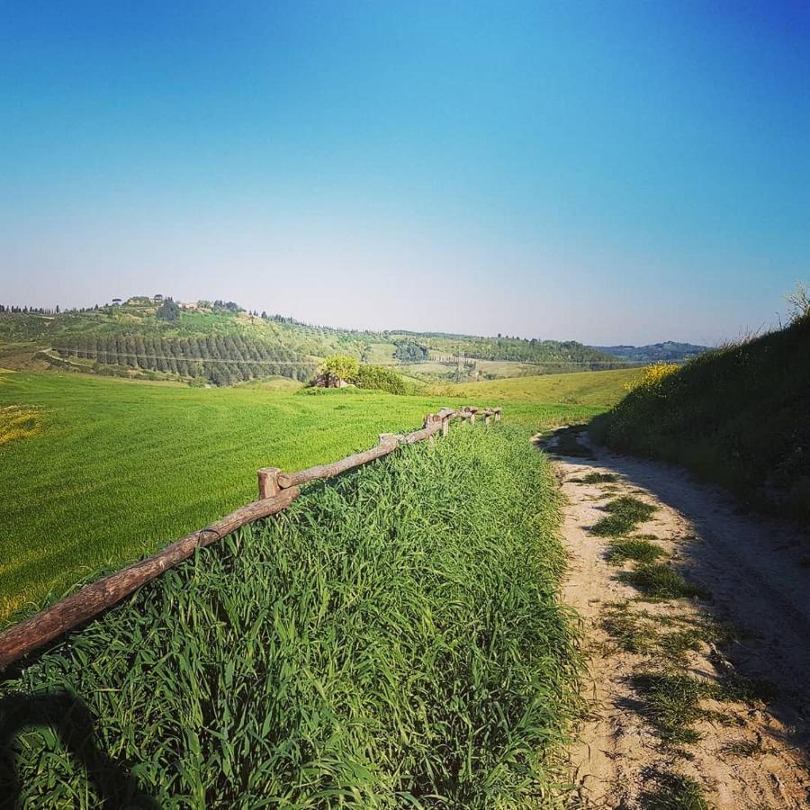 Villa Niccoli Castelfiorentino Dış mekan fotoğraf