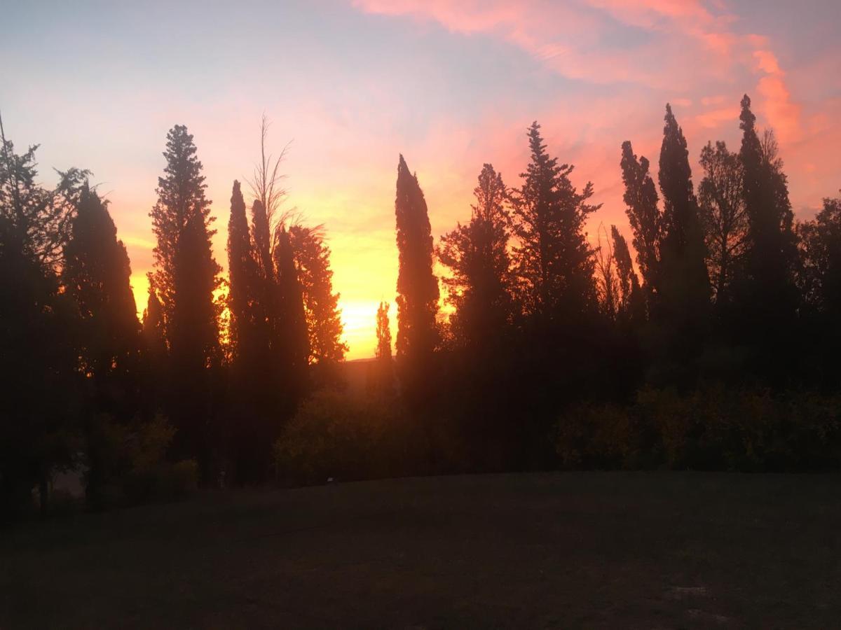 Villa Niccoli Castelfiorentino Dış mekan fotoğraf