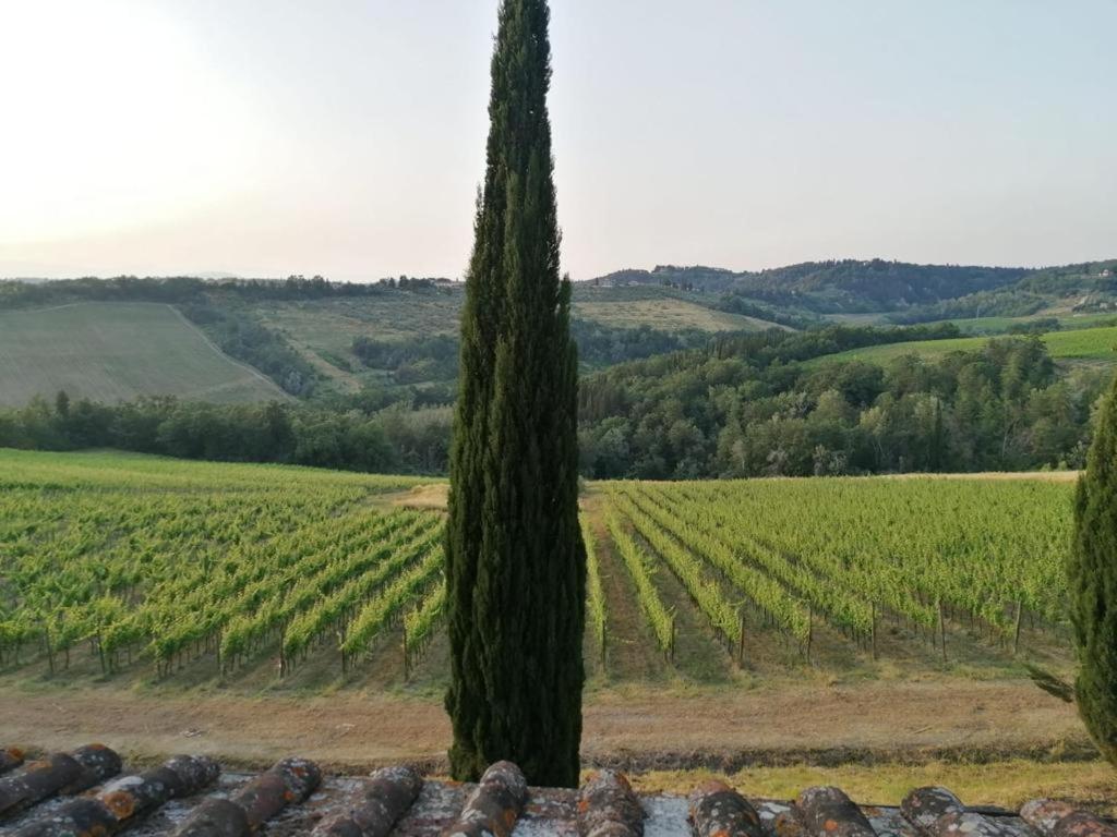 Villa Niccoli Castelfiorentino Dış mekan fotoğraf