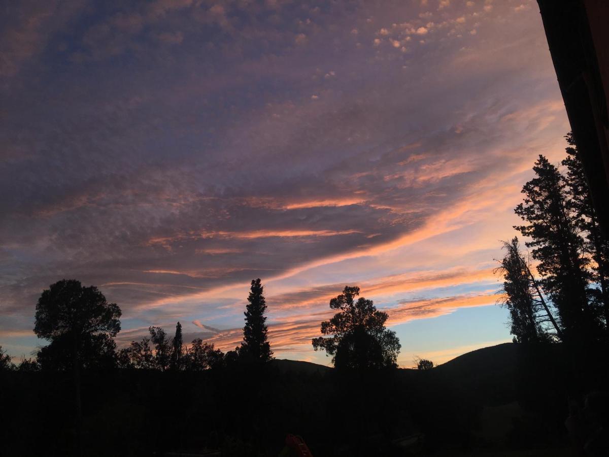 Villa Niccoli Castelfiorentino Dış mekan fotoğraf